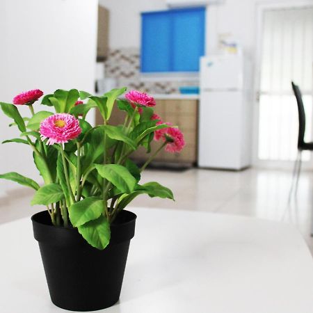 Duplex Comfort Apartments Larnaca Exteriér fotografie