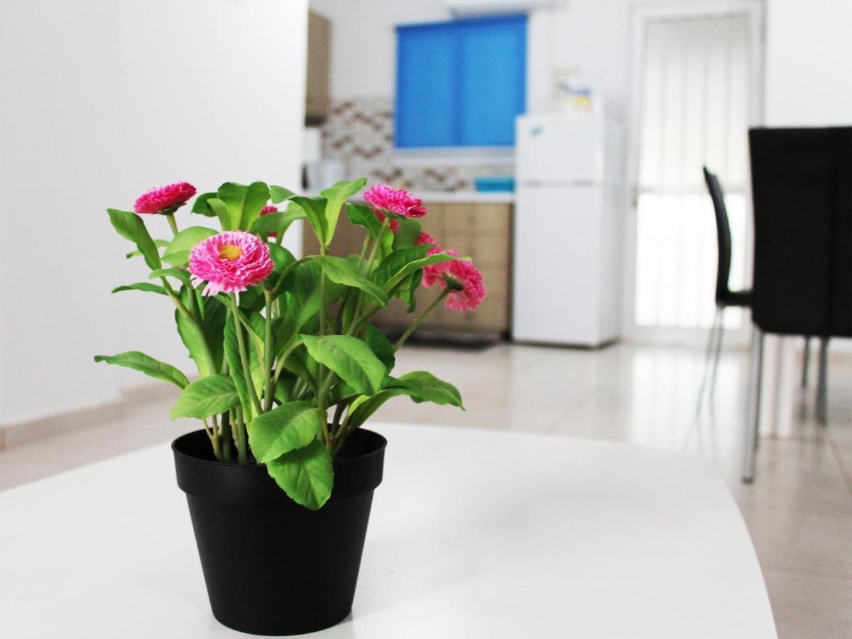 Duplex Comfort Apartments Larnaca Exteriér fotografie